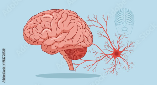 Human Brain and Neuron Illustration: Neuroscience, Neurology, and Nervous System Concept