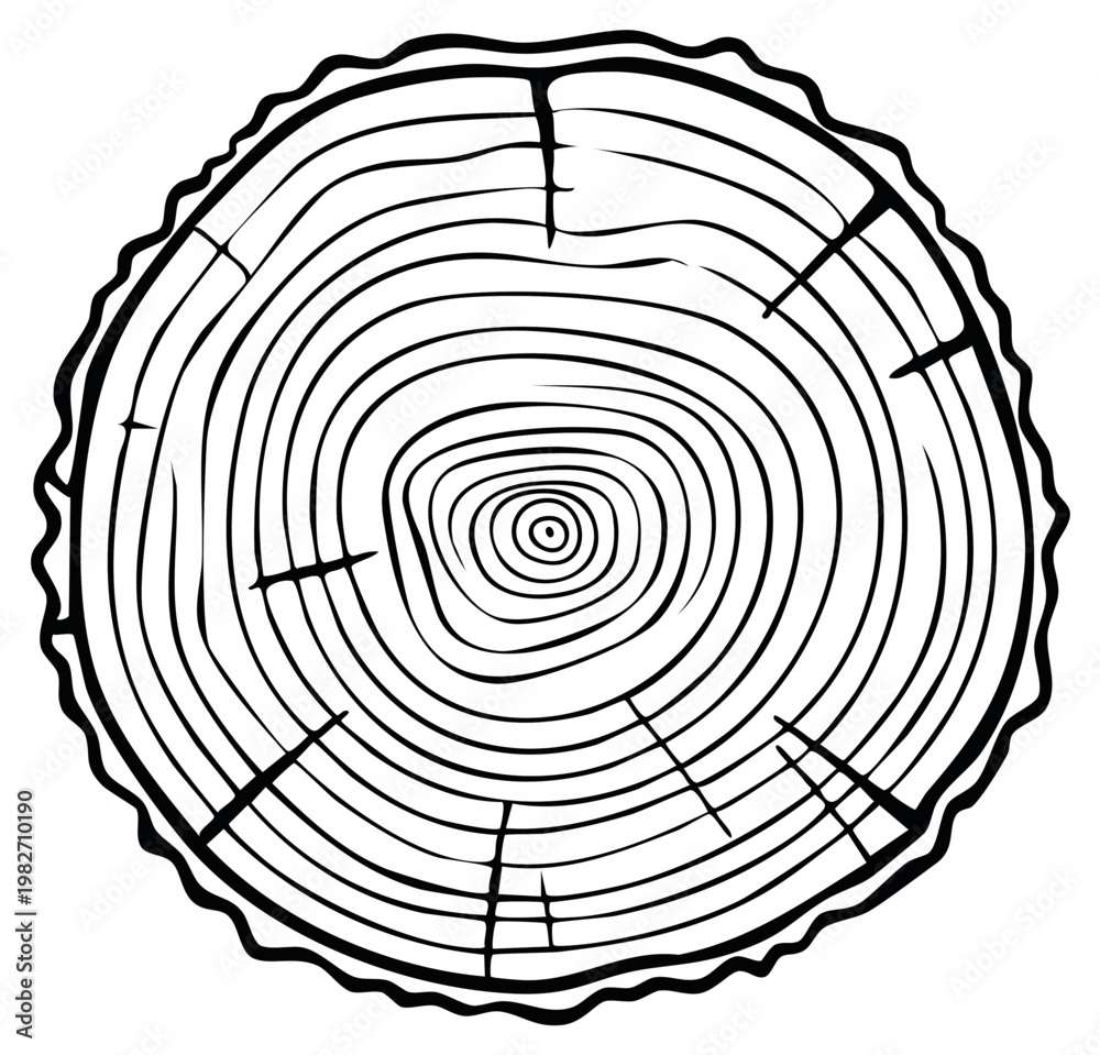 Fototapeta premium Black and white tree ring illustration