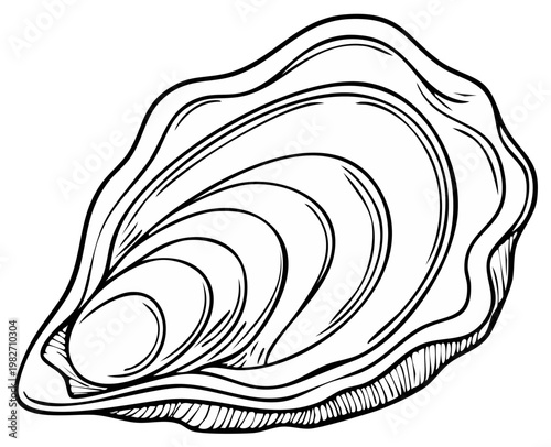Line Art Oyster Illustration of Shellfish Mollusk Seafood Isolated on White Fresh Delicacy Delicious