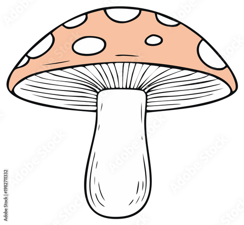Cartoon Toadstool Fungi with Spots Illustration, Agaric Mushroom Fungus
