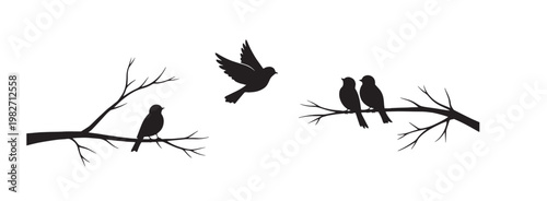 Minimalist clothing icons set, black garment silhouettes and fashion apparel symbols, 35 vector elements for retail and e-commerce web design