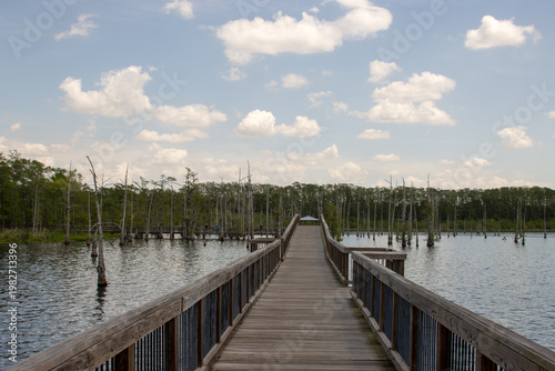 A boardwalk at Black Bayou in Louisiana