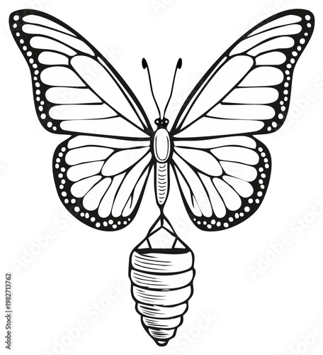 Butterfly Emerging from Chrysalis Pupa Vector Illustration, Black and White Line Art Depicting Insect Metamorphosis and Transformation