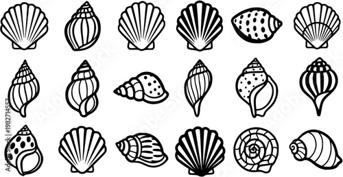 Marine Seashells Black  White Line Art Icon Set. Hand Drawn Ocean Shell Outline Glyphs for Nature and Beach Designs.
