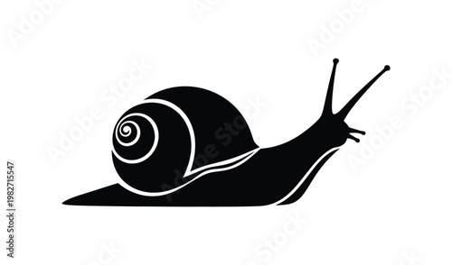 Black and white illustration of a snail with a detailed shell, crawling on a flat surface, side view, minimalist design, nature theme, isolated on white background.