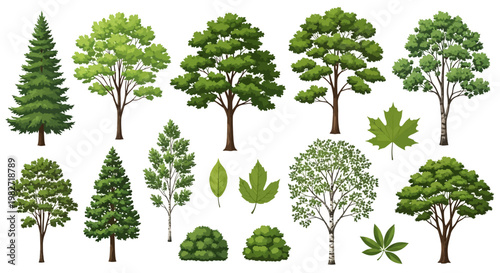 Collection of Diverse Green Trees and Leaves, Nature Elements, Isolated on White Background