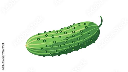 Fresh green cucumber with bumpy skin and light stripes is shown in a detailed flat illustration against a white background.