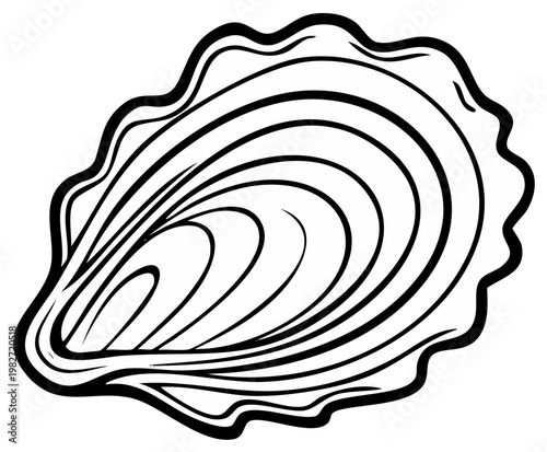 Black and white illustration of an oyster shell with detailed lines and curves, close up view.