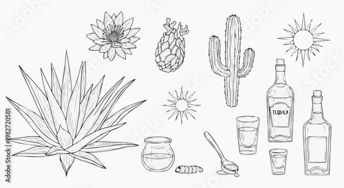 Agave plant and tequila production icons set, hand drawn line art vector