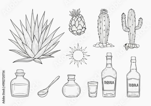 Agave plant and tequila production icons set, hand drawn line art vector