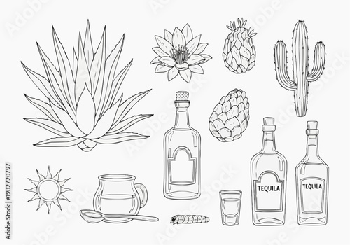 Agave plant and tequila production icons set, hand drawn line art vector