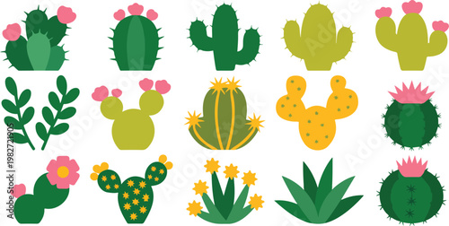 Bright cactus and aloe plant set with exotic leaves and flowering succulents, decorative natural elements isolated on white