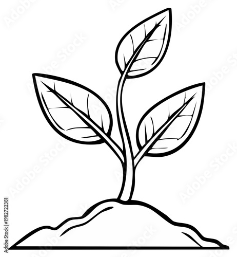 Young green seedling emerging from the soil, representing growth and new beginnings