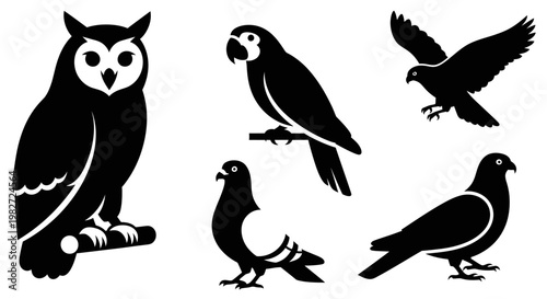 Bird Silhouettes Collection: Owl, Parrot, Eagle, and Pigeons Vector Set