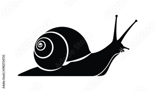 Silhouette of a snail with a spiral shell crawling on a surface, minimalistic black and white illustration, concept of slow movement and patience.