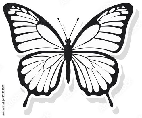 Elegant Black and White Butterfly Silhouette with Shadow Detail