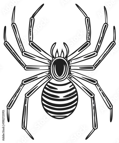 Spider Vector Illustration Featuring Eight Legs and Striped Body
