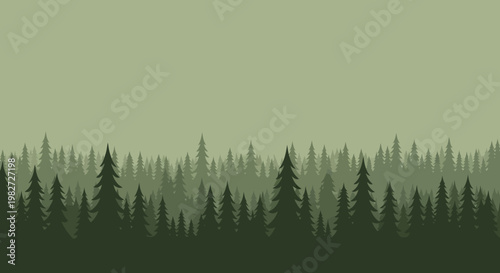 Misty Forest Landscape with Evergreen Trees Silhouette