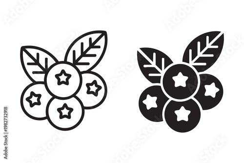 Blueberry Illustration for Vegan Diet and Healthy Lifestyle Graphics