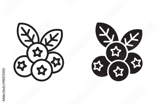 Blueberry Superfood Graphic for Wellness and Nutrition Marketing