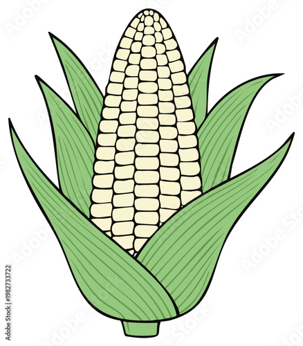 Illustrated Corn on the Cob with Leaves in a Cartoon Style