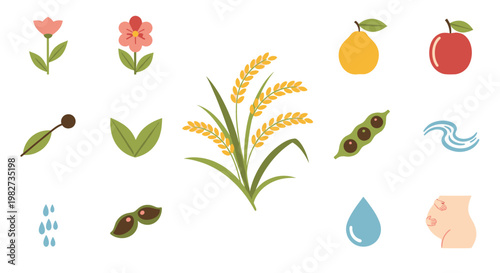 Healthy Harvest Icons: Rice, Fruits, Vegetables, Water, Flowers, Rain, and Pregnancy
