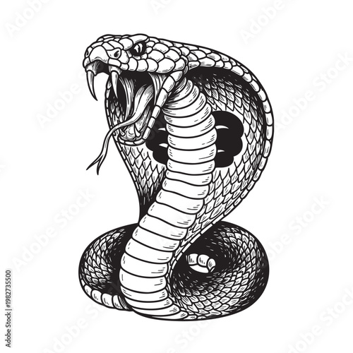 Aggressive King Cobra Snake Coiled in Strike Pose, Detailed Black and White Tattoo and Engraving Style Vector