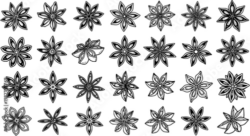 Star Anise Hand-drawn Line Art Collection - Detailed Black  White Vector Illustrations for Food, Spice  Cooking Niche