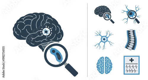 A magnified view of a human brain with neurons and a magnifying glass examining its details closely.