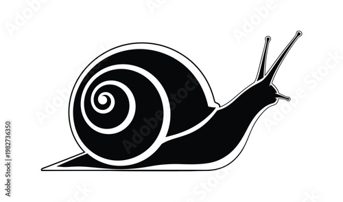 Black and white illustration of a snail with a spiral shell, isolated on a white background, showcasing simplicity and minimalism in graphic design.