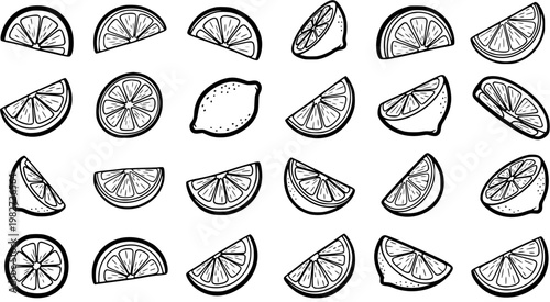Food Industry Black and White Line Art Illustration Set: Hand-drawn Citrus Fruits, Lemons, Limes  Slices Doodle Collection for Healthy Concepts