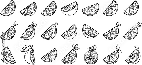 Hand-drawn Black and White Line Art Citrus Orange Slices Vector Collection for Food  Drink Industry Design