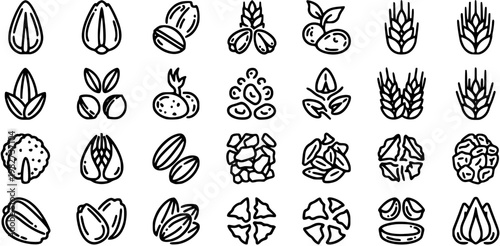 Food  Agriculture Black and White Line Art Icons: Healthy Nuts, Seeds, Grains, and Legumes Outline Vector Collection