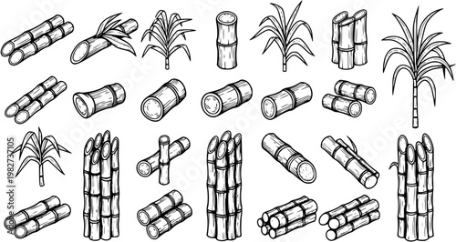 Black and White Line Art Illustration of Sugarcane Stalks, Leaves, and Bundles