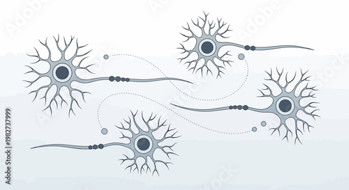 Neurons connect and communicate through synapses in a human brain