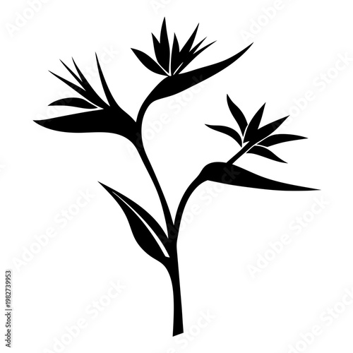 Slika na platnu Bird of paradise flower silhouette, black tropical strelitzia reginae floral vec