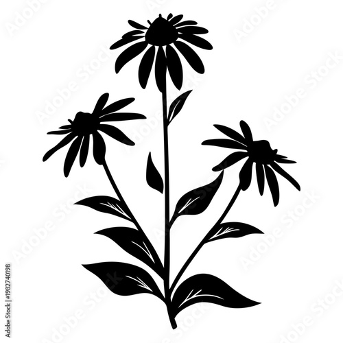 Echinacea flower silhouette vector, black floral botanical illustration, coneflower plant graphic on white background, herbal medicine icon