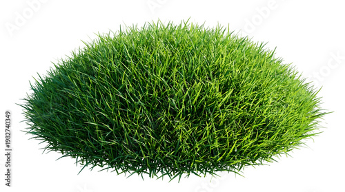 Grass Lush Green Mound Isolated on White Background - nature, turf, lawn, plant, garden