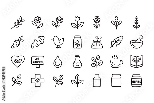 Organic Herbal Remedies and Plant Based Medicine Icons for Wellness Design