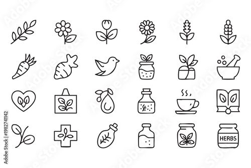 Natural Healing and Organic Wellness Icons with Plants and Herbal Products