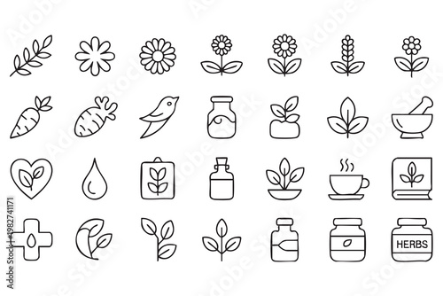 Botanical Wellness Icons Featuring Essential Oils Herbs and Natural Therapy