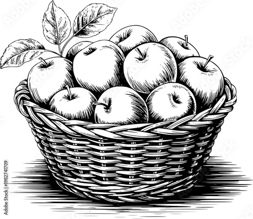 Vintage black and white of a woven basket filled with apples and leaves fruit food