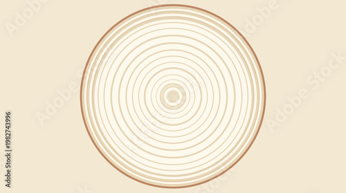 Tree ring pattern on a cut log.