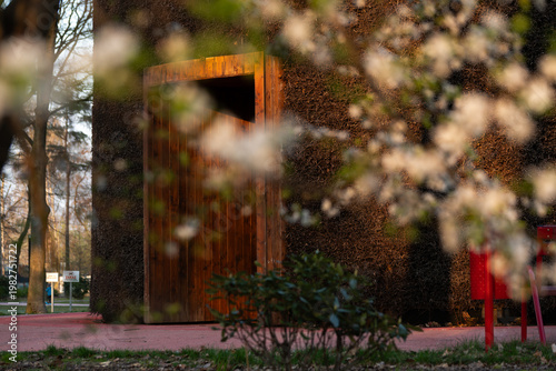 Wiosenny park  w Czechowice Dziedzice z kwitnącymi drzewami i ciepłym światłem słonecznym