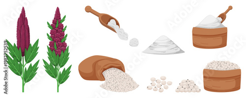 Quinoa grains collected in jute bags, cereal products, and crops harvested. flour, grain pile
