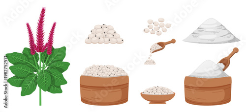 Amaranth plants, grain, cereal products, and crops are harvested in jute bags. flour, grain pile collection