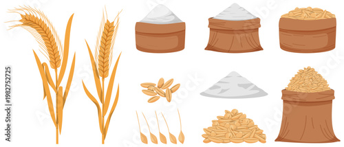 Wheat grains collected in jute bags, cereal products, and crops harvested. flour, grain pile