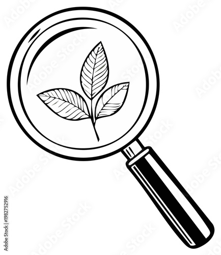 Magnifying glass focusing on a delicate green plant with three leaves, illustrating scientific research and observation.