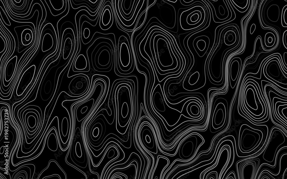Fototapeta premium Seamless abstract topographic lines vector illustration