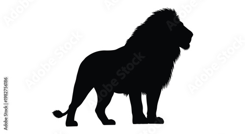 A majestic african lion stands proudly in a striking black silhouette